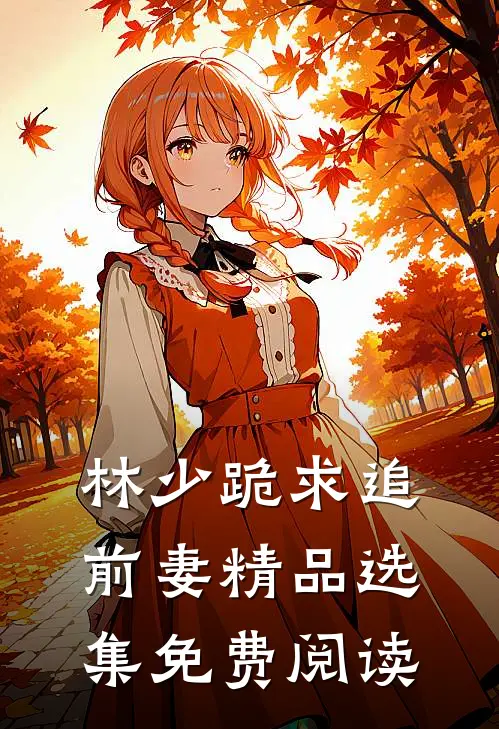林少跪求追前妻精品选集免费阅读
