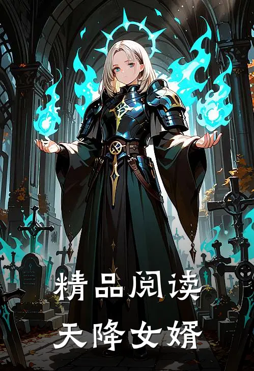 精品阅读天降女婿