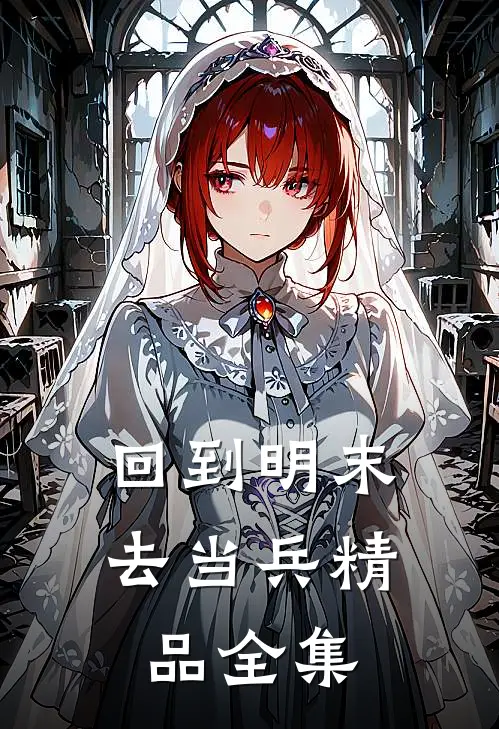 回到明末去当兵精品全集