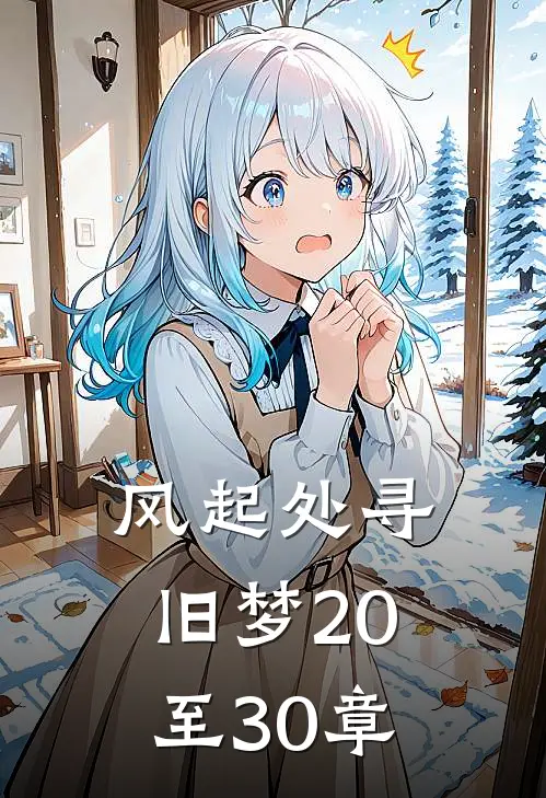风起处寻旧梦20至30章