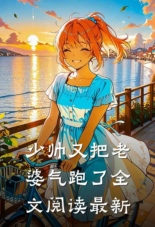 少帅又把老婆气跑了全文阅读最新