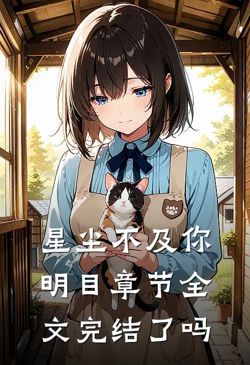 星尘不及你明目章节全文完结了吗