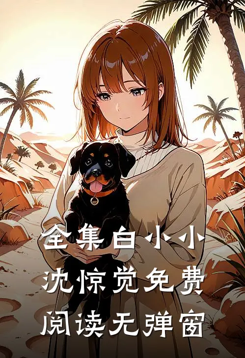 全集白小小沈惊觉免费阅读无弹窗