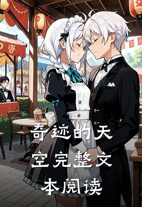 奇迹的天空完整文本阅读