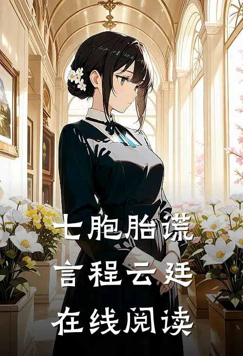 七胞胎谎言程云廷在线阅读