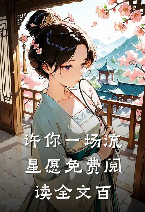 许你一场流星愿免费阅读全文百