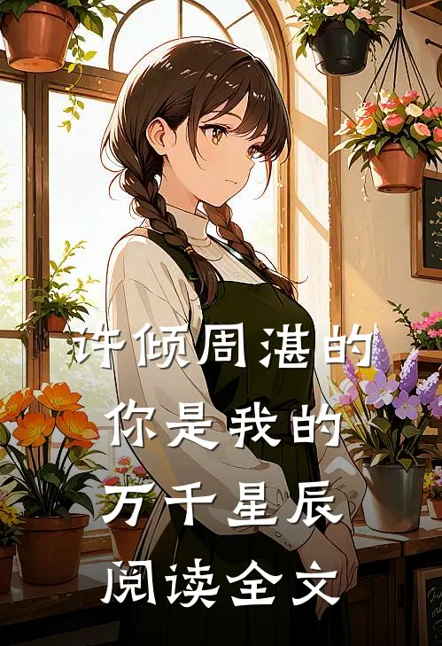 许倾周湛的你是我的万千星辰阅读全文
