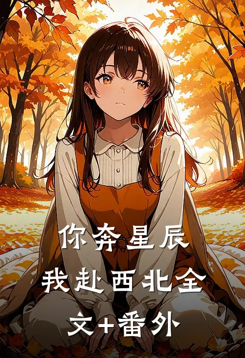 你奔星辰，我赴西北全文+番外