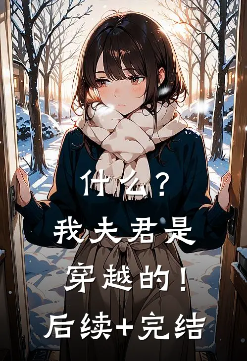 什么？我夫君是穿越的！后续+完结
