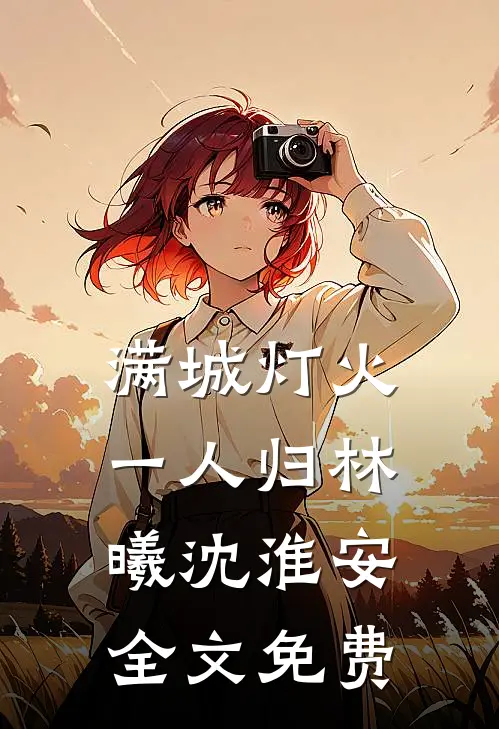 满城灯火一人归林曦沈淮安全文免费