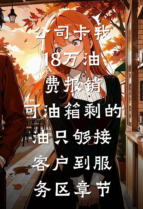 公司卡我18万油费报销，可油箱剩的油只够接客户到服务区章节
