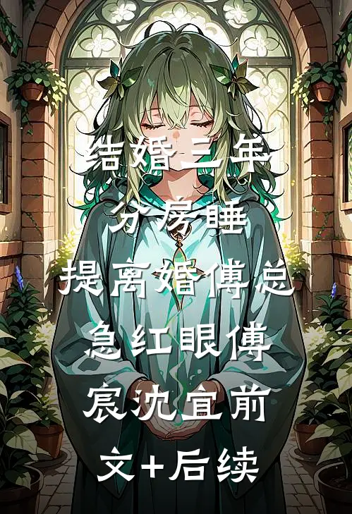 结婚三年分房睡，提离婚傅总急红眼傅宸沈宜前文+后续