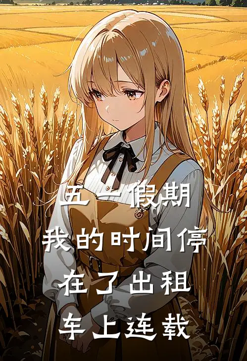 五一假期，我的时间停在了出租车上连载
