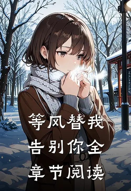 等风替我告别你全章节阅读