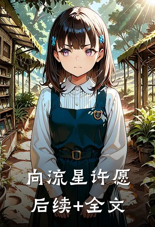 《向流星许愿》后续+全文