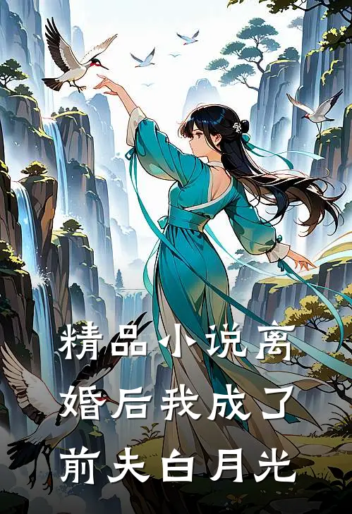 精品小说离婚后我成了前夫白月光