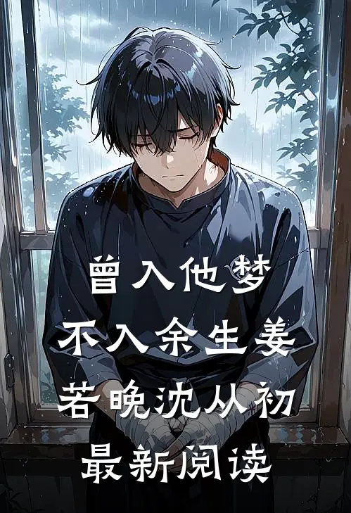曾入他梦，不入余生姜若晚沈从初最新阅读