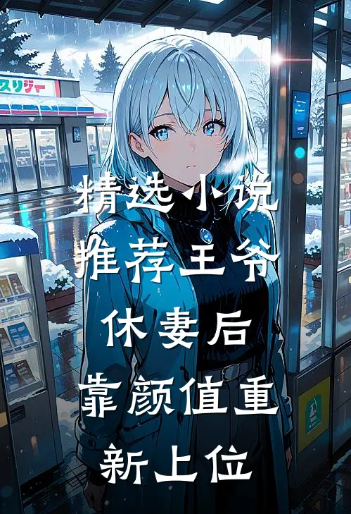 精选小说推荐王爷休妻后，靠颜值重新上位