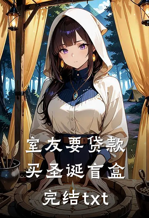 室友要贷款买圣诞盲盒完结txt