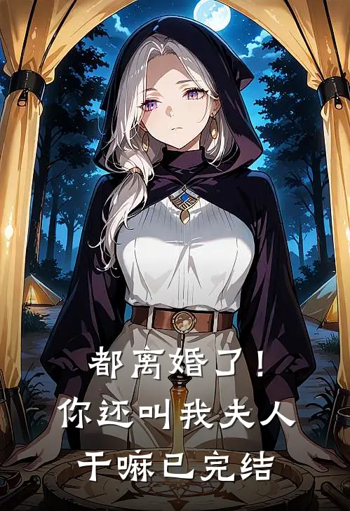 都离婚了！你还叫我夫人干嘛已完结