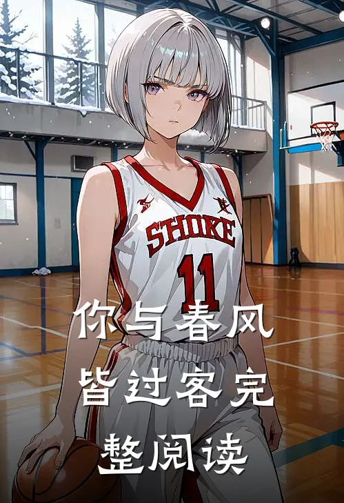 你与春风皆过客完整阅读