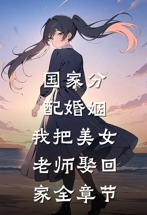国家分配婚姻，我把美女老师娶回家全章节