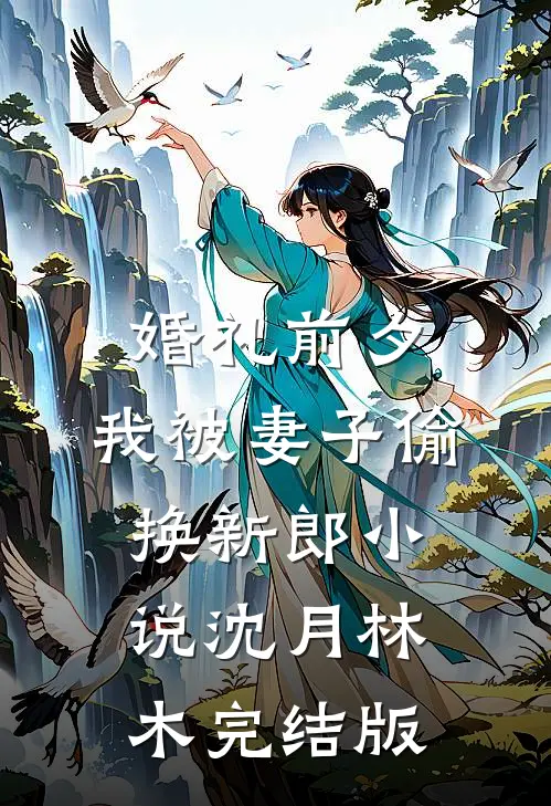 婚礼前夕，我被妻子偷换新郎小说沈月林木完结版