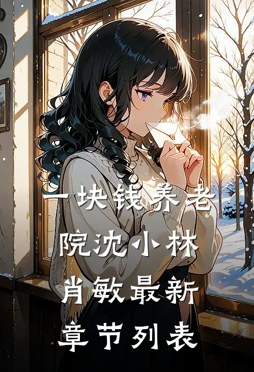 一块钱养老院沈小林肖敏最新章节列表
