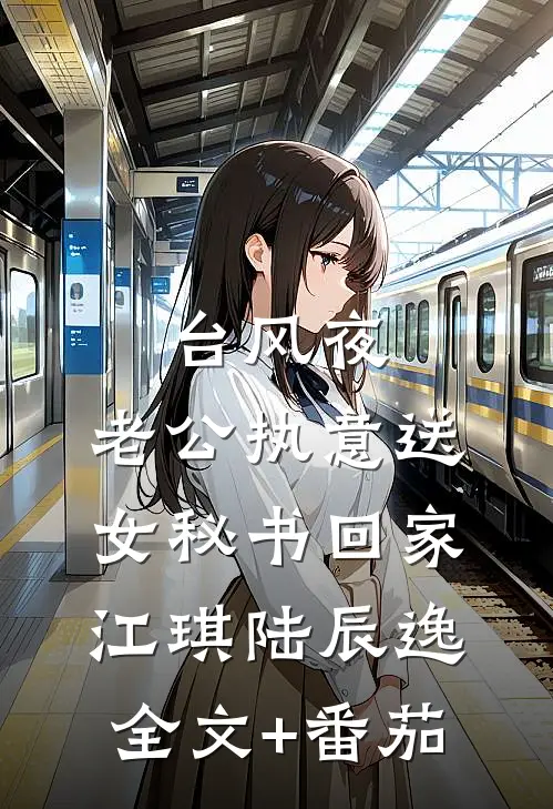 台风夜，老公执意送女秘书回家江琪陆辰逸全文+番茄