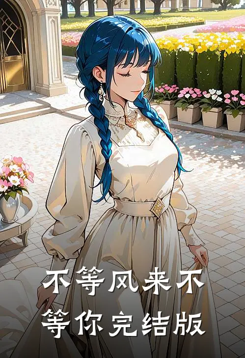 不等风来不等你完结版