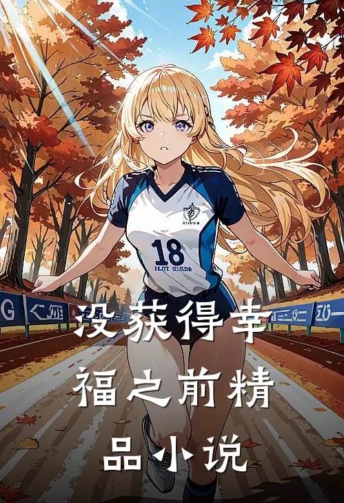 没获得幸福之前精品小说