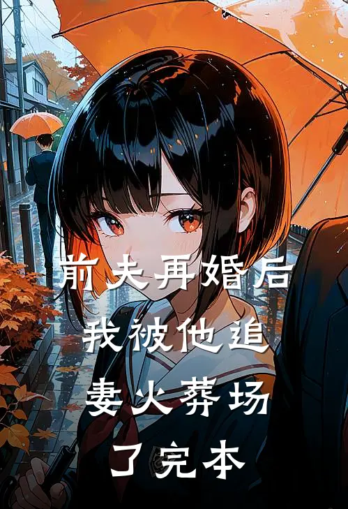 前夫再婚后，我被他追妻火葬场了完本