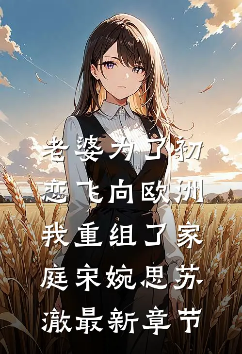 老婆为了初恋飞向欧洲，我重组了家庭宋婉思苏澈最新章节