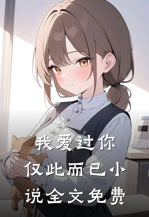 我爱过你，仅此而已小说全文免费