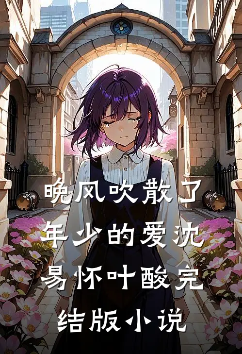 晚风吹散了年少的爱沈易怀叶酸完结版小说