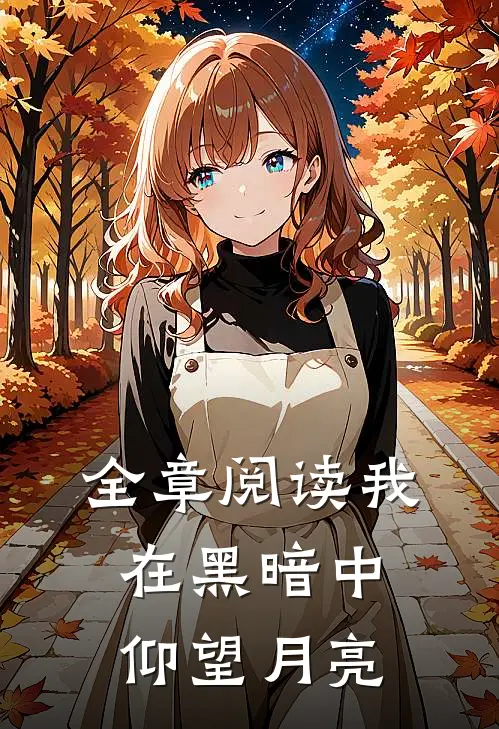 全章阅读我在黑暗中仰望月亮