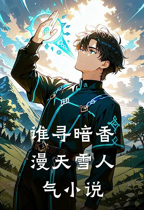 谁寻暗香漫天雪人气小说