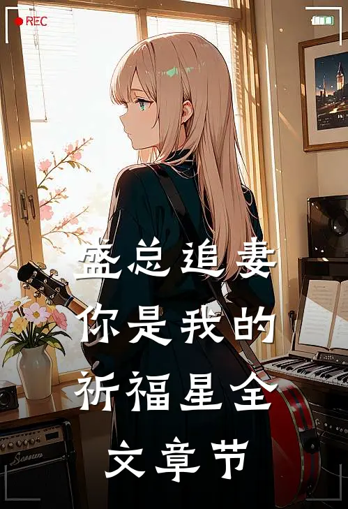 盛总追妻：你是我的祈福星全文章节