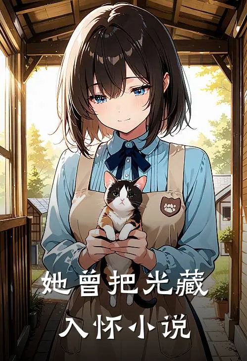 她曾把光藏入怀小说