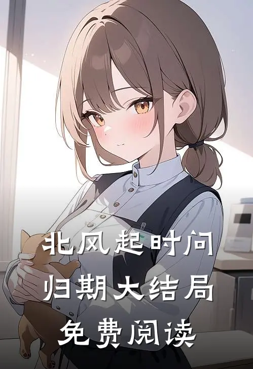 北风起时问归期大结局免费阅读