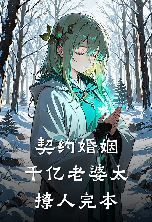 契约婚姻：千亿老婆太撩人完本